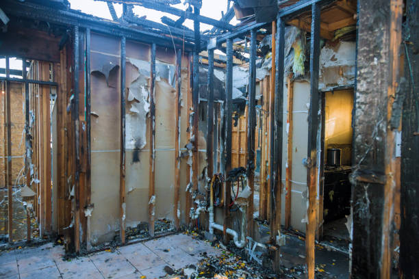 Professional Fire Damage Removal technician working in Fisherville, KY