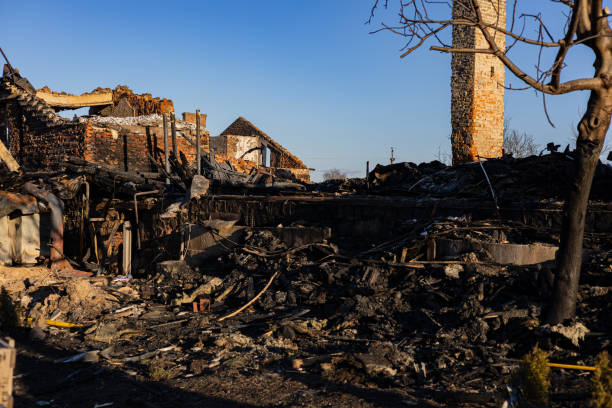 Reliable Fire Damage Removal contractor in Fisherville, KY by Fire Damage Doption